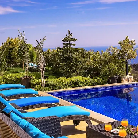 Premium Confort Koerdere *